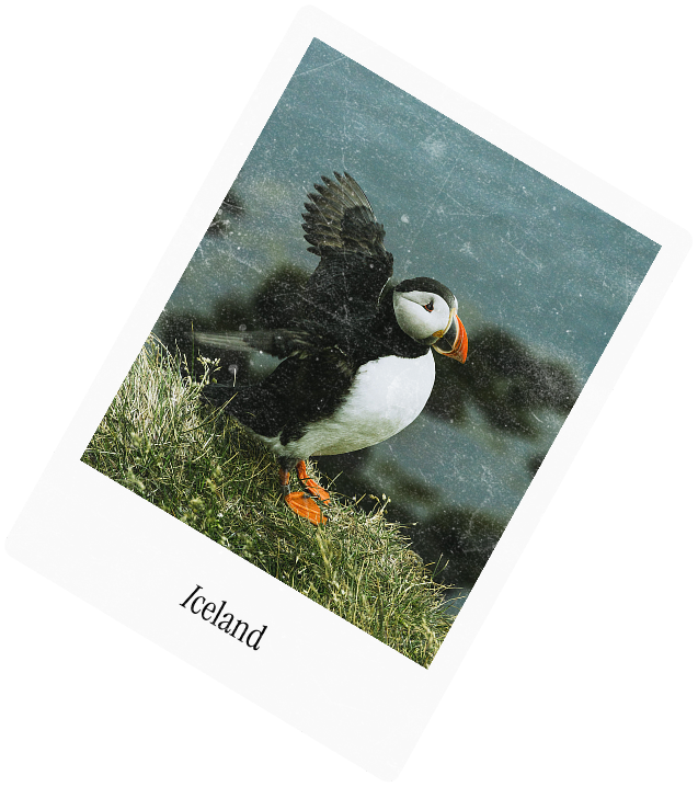 A polaroid captioned Iceland