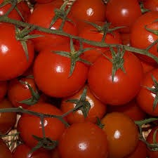 Cherry tomatoes on the vine