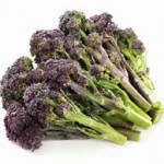 Purple sprouting broccoli